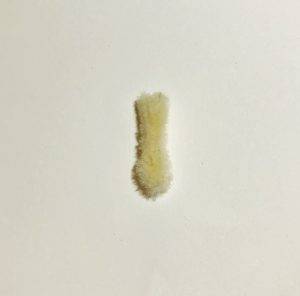 corps gaelia fée de pâques patron crochet gratuit poupée débutant facile oeuf